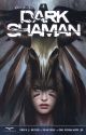 Grimm Fairy Tales Dark Shaman Vol 1