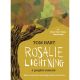 Rosalie Lightning Graphic Memoir