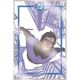 DC Portfolio Of Bruno Redondo Nightwing 9 Print Set