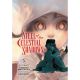 Steel Of The Celestial Shadows Vol 3