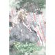Rainbows After Storms Vol 11