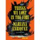 Things We Lost In The Fire Four Graphic Stories