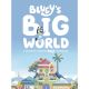 Blueys Big World