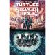 Teenage Mutant Ninja Turtles X Stranger Things