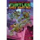 Teenage Mutant Ninja Turtles Turtle Power Pack Vol 1