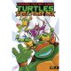 Teenage Mutant Ninja Turtles Turtle Power Pack Vol 2