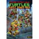 Teenage Mutant Ninja Turtles Turtle Power Pack Vol 3