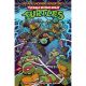 Teenage Mutant Ninja Turtles Saturday Morning Adventures Vol 7