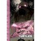 Teenage Mutant Ninja Turtles The Idw Collection Volume 10