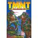 Teenage Mutant Ninja Turtles Journeys Vol 1