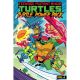 Teenage Mutant Ninja Turtles Turtle Power Pack V4