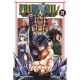 Fairy Tail 100 Years Quest Vol 21