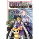Fairy Tail 100 Years Quest Vol 22