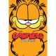 Garfield Book One