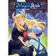 Ancient Magus Bride Wizards Blue Vol 10