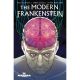 Modern Frankenstein #3