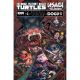 Teenage Mutant Ninja Turtles Usagi Yojimbo Wherewhen #4 Cover C Myer 1:10
