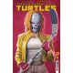 Teenage Mutant Ninja Turtles #11 Cover C Ferreyra