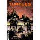 Teenage Mutant Ninja Turtles #11 Cover D Rodriguez
