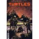Teenage Mutant Ninja Turtles #11 Cover G 1:25 Powell