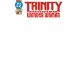 Trinity Daughter Of Wonder Woman #1 Cover F Blank Card Stock Variant