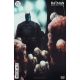 Batman Dark Patterns #7 Cover B Stevan Subic Card Stock Variant