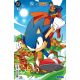 DC X Sonic The Hedgehog #4 Cover B Daniele Di Nicuolo Card Stock Variant