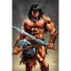 Conan The Barbarian #21 Cover F Dan Panosian Foil Variant