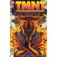 Teenage Mutant Ninja Turtles Journeys #11
