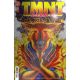 Teenage Mutant Ninja Turtles Journeys #11 Cover C 1:10 Foil Dooney & Lawson