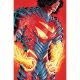 Absolute Superman #20 Cover C Juan Ferreyra Card Stock Variant