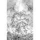 Diablo Dawn Of Hatred #3 Cover E Alan Quah Inks Cardstock Variant