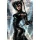 Batman Catwoman The Gotham War Scorched Earth #1 Cover C Lim Variant