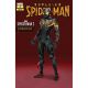 Superior Spider-Man #2 Encoded Suit Variant