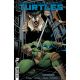 Teenage Mutant Ninja Turtles Annual 2025 Cover D 1:25 Shelfer