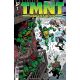 Teenage Mutant Ninja Turtles Journeys #2 Cover B Lawson