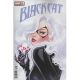 Black Cat #3 Lucas Werneck Variant