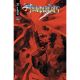 Thundercats #21 Cover D Drew Moss Variant