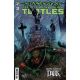 Teenage Mutant Ninja Turtles #23 Cover E Damien Worm Idw Goes Dark Variant