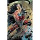 Absolute Wonder Woman #25 Cover D Bryan Hitch Connecting Card Stock Variant