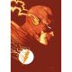 Flash #38 Cover C Raul Allen Card Stock Variant