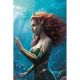Emperor Aquaman #22 Cover B Carla Cohen Card Stock Variant