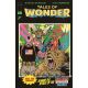 Tales Of Wonder #2 Cover C Jorge Fornes Variant