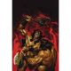 Fire And Ice Darkwolf #4 Cover G Joe Jusko Limited Virgin Variant
