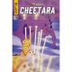 Thundercats Cheetara #2 Cover E Animation Art Variant
