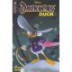 Darkwing Duck #2 Cover C Leirix
