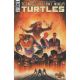 Teenage Mutant Ninja Turtles #137