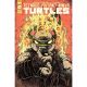 Teenage Mutant Ninja Turtles #138 Cover B Campbell