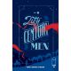 20Th Century Men #6 Cover C Bidikar