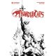 Thundercats #1 Cover T Jae Lee Line Art 1:25 Variant